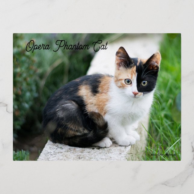 Opera Phantom Cat Folien Feiertagspostkarte (Vorderseite)