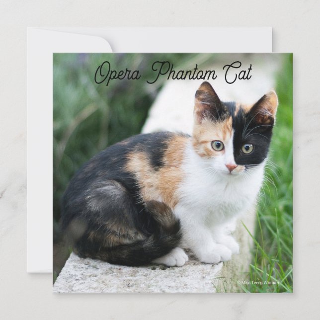 Opera Phantom Cat Karte (Vorderseite)