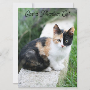 Opera Phantom Cat Karte