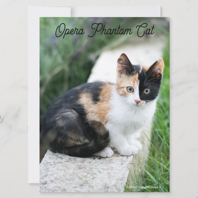 Opera Phantom Cat Karte (Vorderseite)