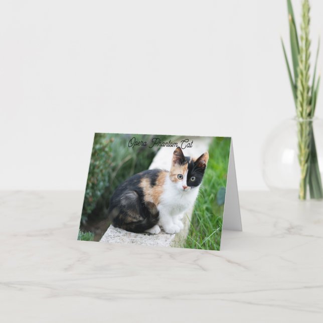 Opera Phantom Cat Karte (Vorderseite)