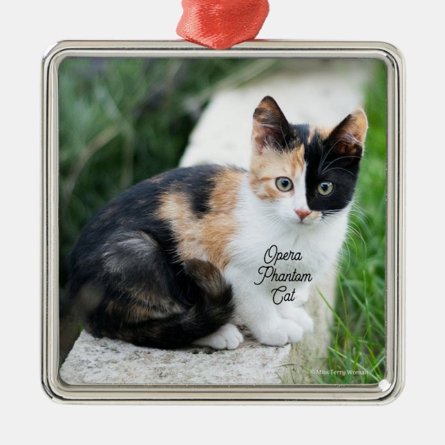 Opera Phantom Cat Ornament Aus Metall (Vorne)
