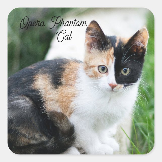 Opera Phantom Cat Quadratischer Aufkleber (Vorderseite)