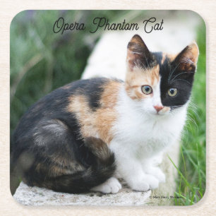 Opera Phantom Cat Rechteckiger Pappuntersetzer