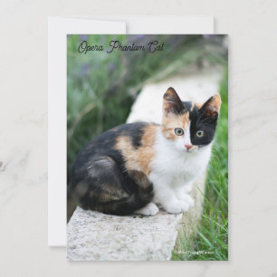 Opera Phantom Cat Save The Date