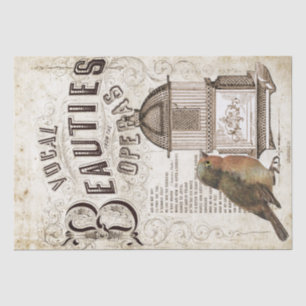 Opera Song Musik Robin Bird Birdcage Decoupage Seidenpapier
