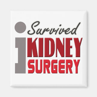 Operation Survivor Magnet