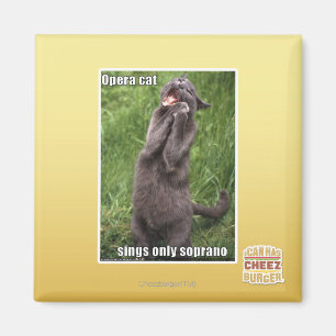 Opern-Katze Magnet
