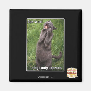 Opern-Katze Magnet