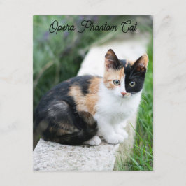 Opern-Phantom-Katze Begleitkarte