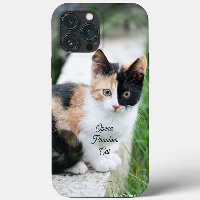 Opern-Phantom-Katze Case-Mate iPhone Hülle (Rückseite)
