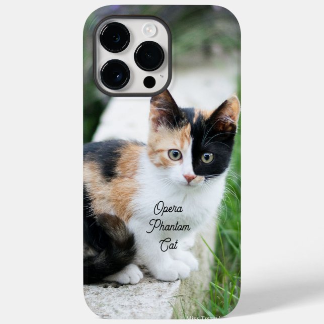 Opern-Phantom-Katze Case-Mate iPhone Hülle (Rückseite)