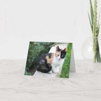 Opern-Phantom-Katze Dankeskarte