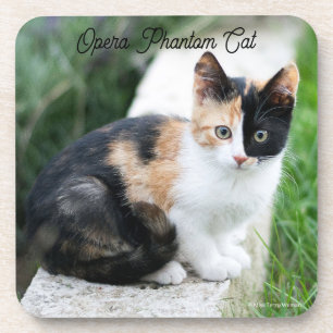 Opern-Phantom-Katze Getränkeuntersetzer