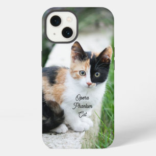Opern-Phantom-Katze iPhone 13 Hülle