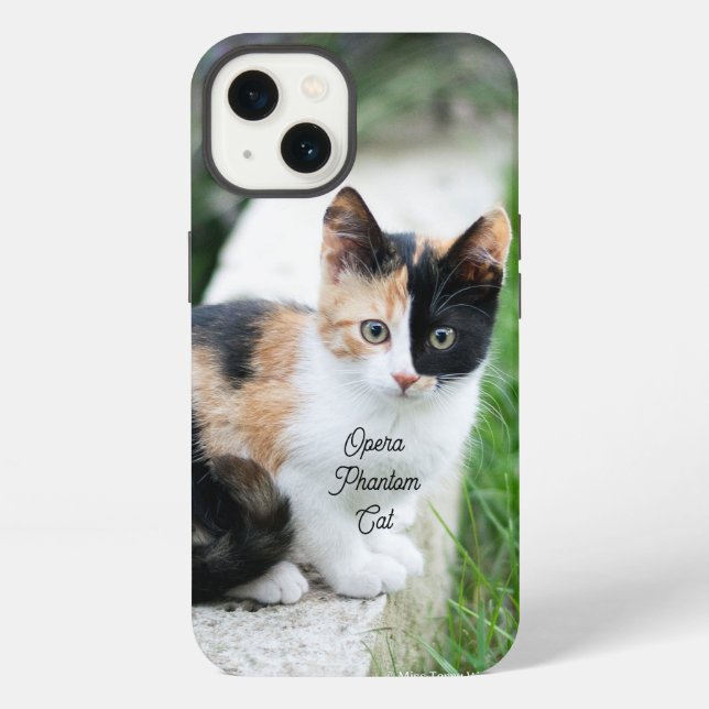 Opern-Phantom-Katze iPhone Hülle (Rückseite)