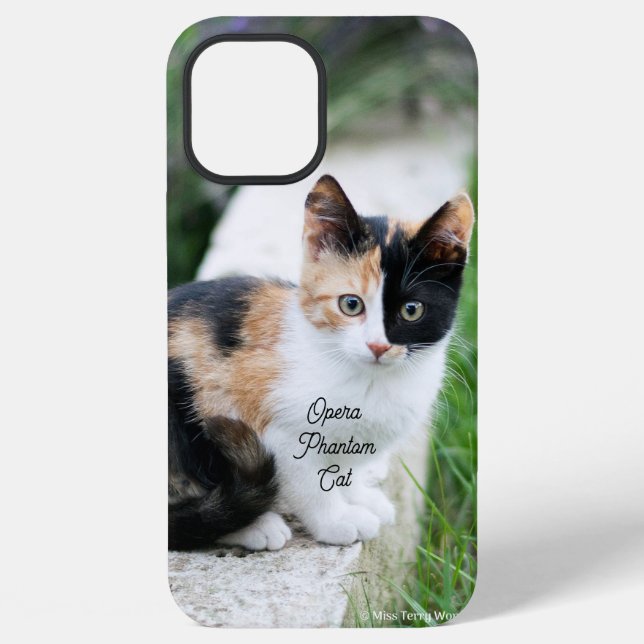 Opern-Phantom-Katze iPhone Hülle (Rückseite)