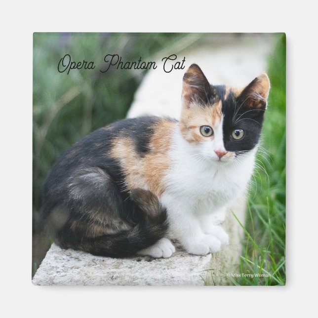 Opern-Phantom-Katze Magnet (Vorne)