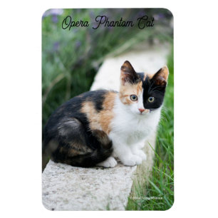 Opern-Phantom-Katze Magnet
