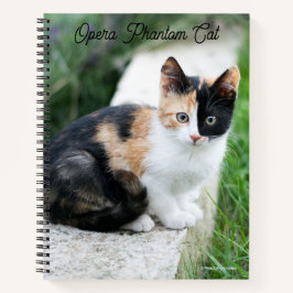 Opern-Phantom-Katze Notizbuch