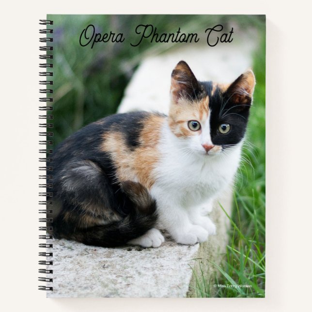 Opern-Phantom-Katze Notizbuch (Vorderseite)