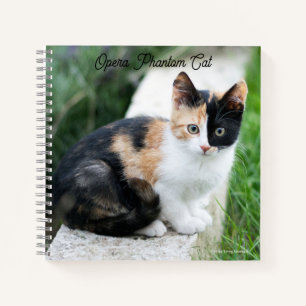 Opern-Phantom-Katze Notizbuch