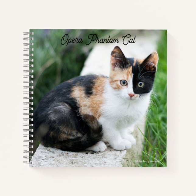 Opern-Phantom-Katze Notizbuch (Vorderseite)