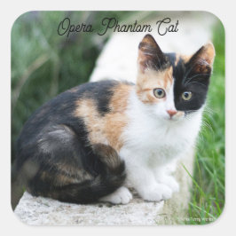 Opern-Phantom-Katze Quadratischer Aufkleber