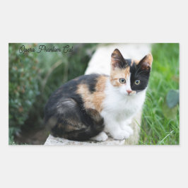 Opern-Phantom-Katze Rechteckiger Aufkleber