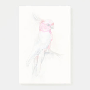 Operncockatoo Post-it Klebezettel