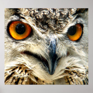 Opfer im Anblick Poster