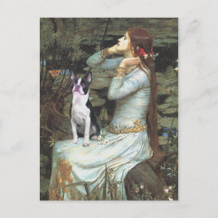 Ophelia & - Boston Terrier Postkarte