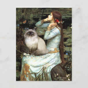 Ophelia - Himalaya-Katze 7 Postkarte