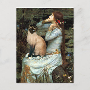 Ophelia - Siegel Point Siamese Cat Postkarte