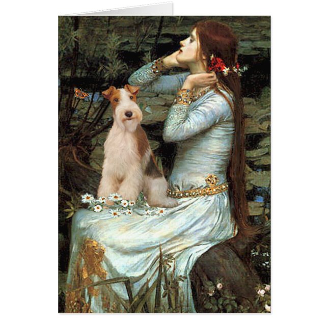 Ophelia sitzend - Wire Fox Terrier 3 (Vorne)