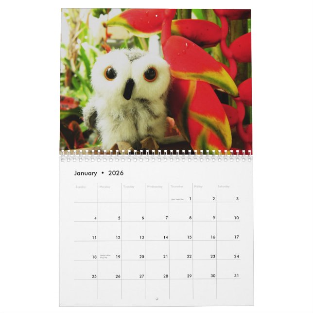 Ophelia und Freunde 2009 Kalender (Jan 2026)