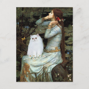 Ophelia - White Persian Kitten Postkarte