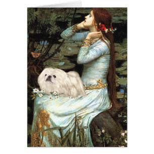 Ophelie - Weißpekingese 4