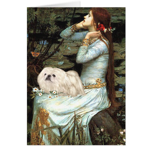 Ophelie - Weißpekingese 4 (Vorne)