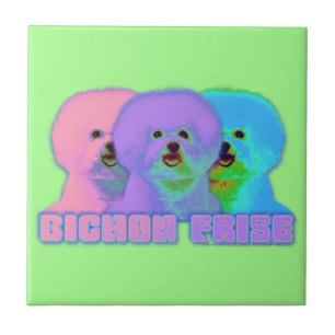 OPkunst - Bichon Frise - Cody Fliese