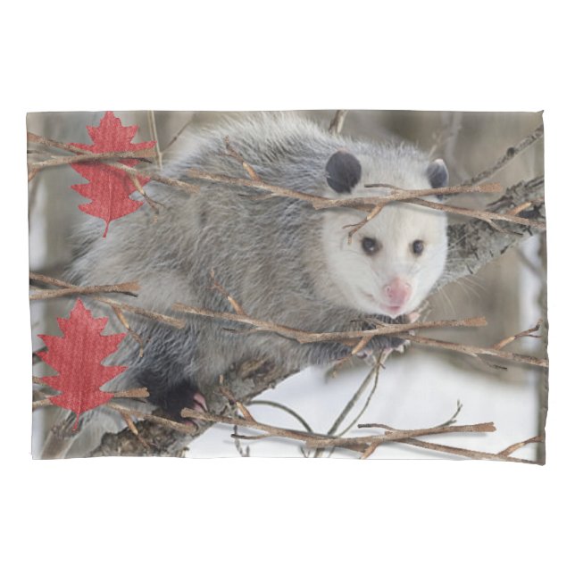 Opossum-Art des Pillow Case Kissenbezug (Vorderseite)