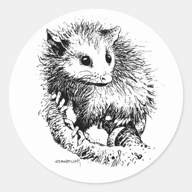 Opossum-Aufkleber Runder Aufkleber (Vorderseite)