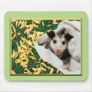 Opossum-Baby-Beutelratte Mousepad