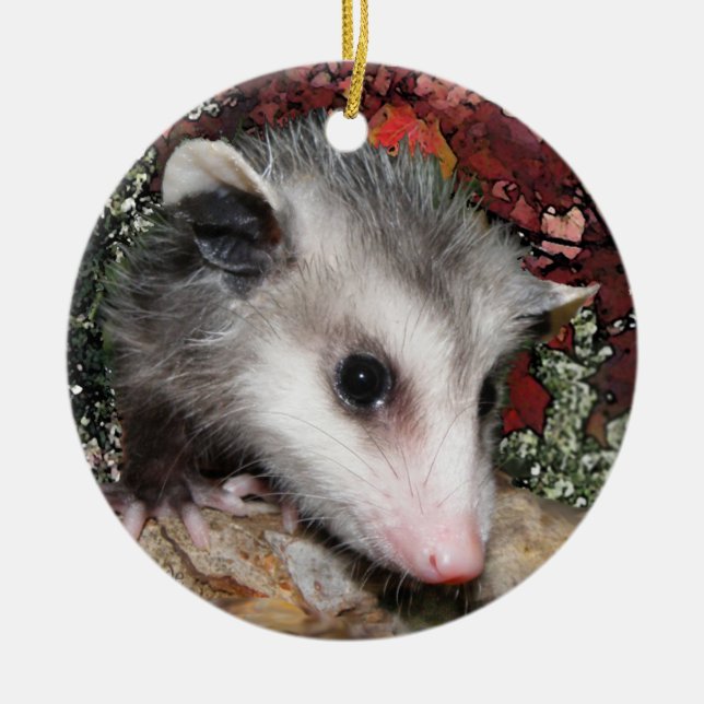 Opossum-Baby Keramik Ornament (Vorne)