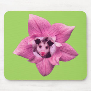 Opossum Baby Possum Mousepad