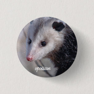 Opossum Button