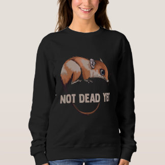 Opossum for Fake Cat Rat and Raccoon Designs Sweatshirt