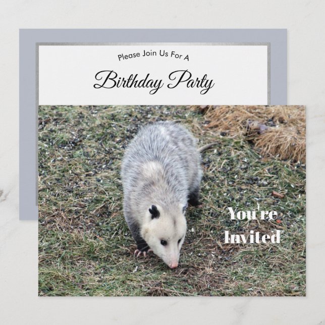 Opossum Foto Geburtstag Einladung (Vorne/Hinten)