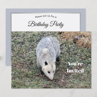 Opossum Foto Geburtstag Einladung
