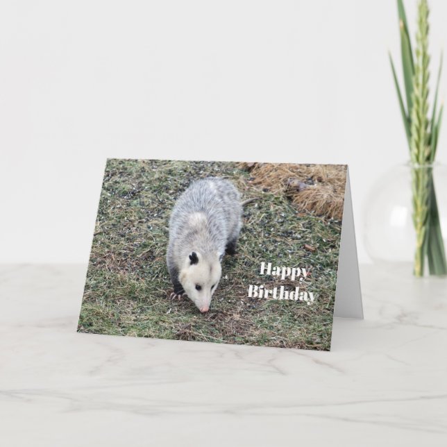 Opossum Foto Geburtstag Karte (Vorderseite)